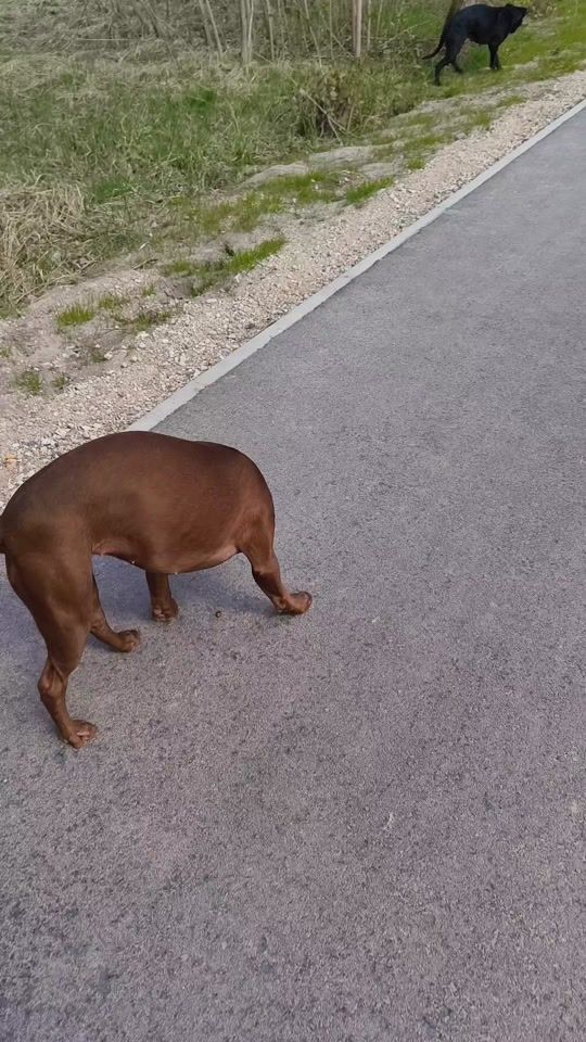 TikTok video thumbnail by musa28035