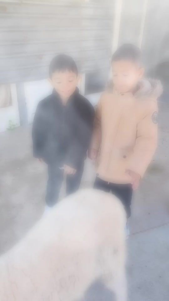 TikTok video thumbnail by usermzpidm7r6u