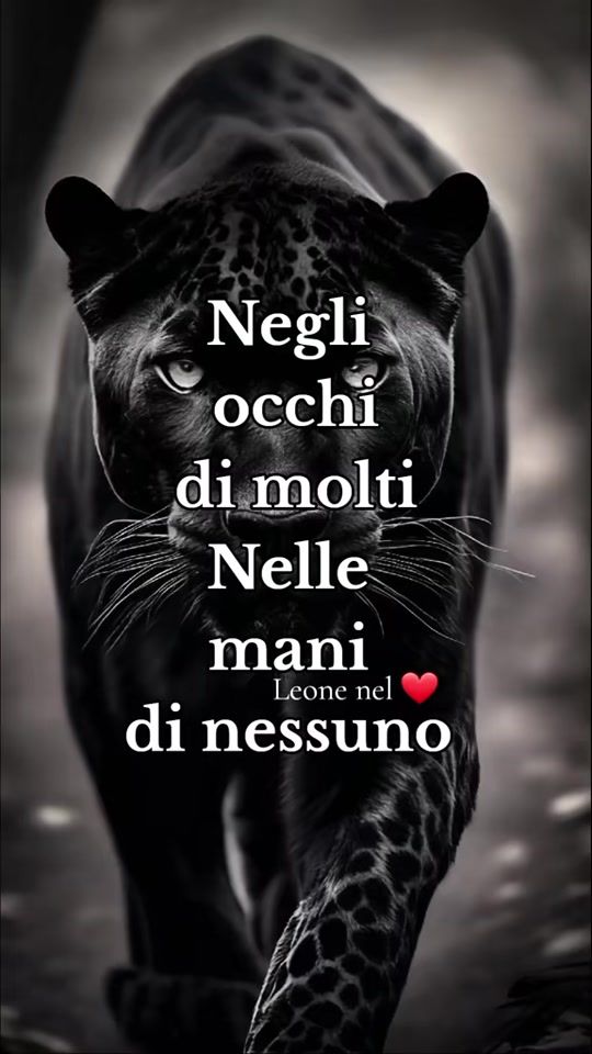 TikTok video thumbnail by leone.nel.cuore
