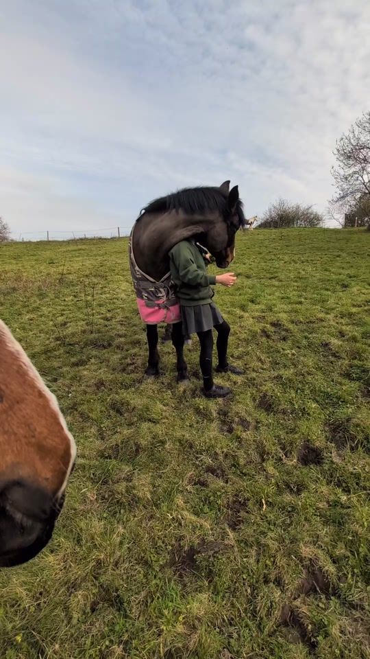 TikTok video thumbnail by cazza_bumble