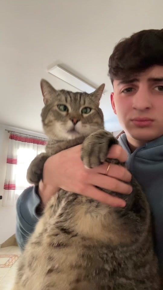 TikTok video thumbnail by _carlo.zedda_
