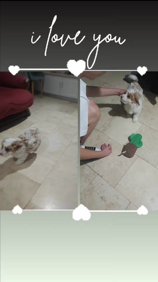 TikTok video thumbnail by surprize.de.vis