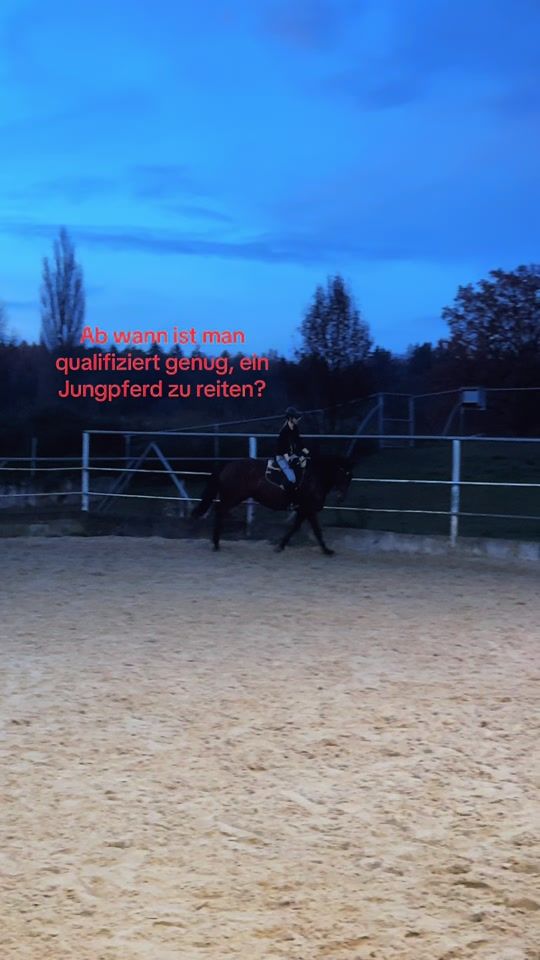 TikTok video thumbnail by herzponys