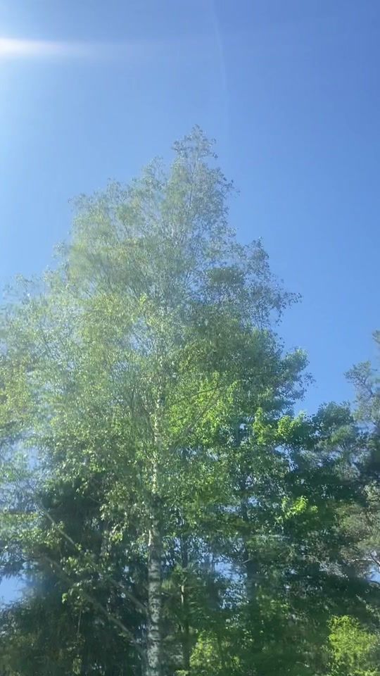 TikTok video thumbnail by oinonen_1