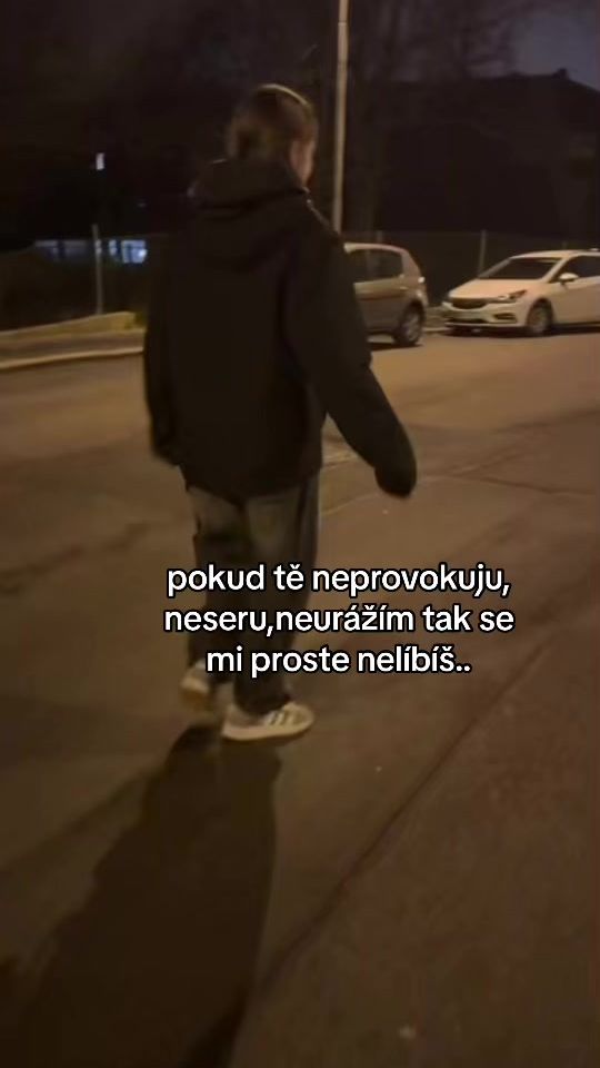 TikTok video thumbnail by danielafliegerova69