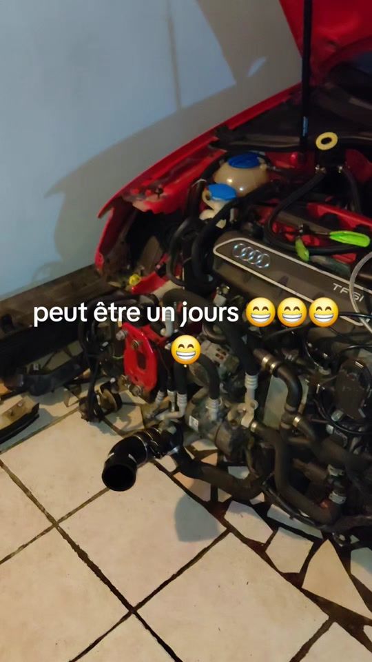 TikTok video thumbnail by alexnadeau05