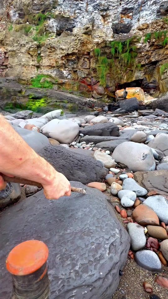 TikTok video thumbnail by yorkshire.fossils