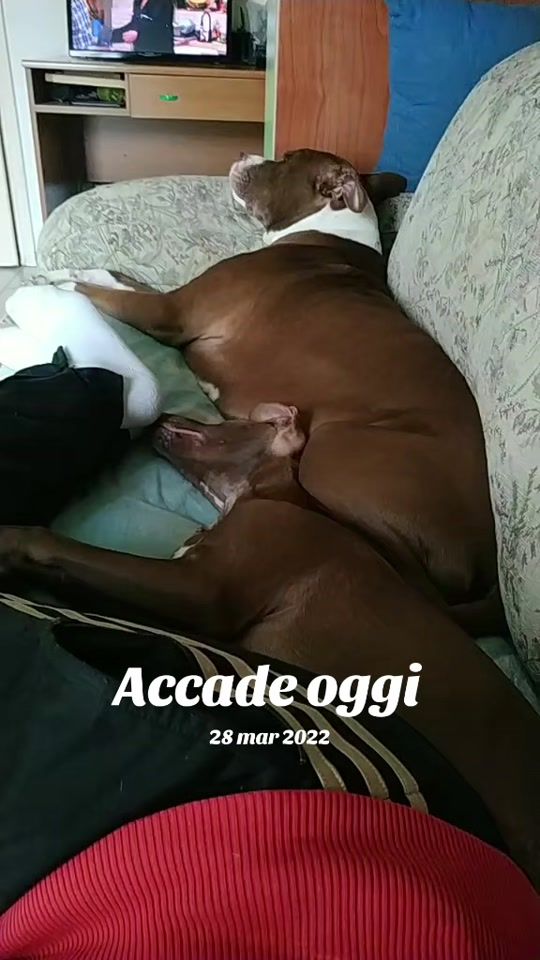 TikTok video thumbnail by imieicanipit