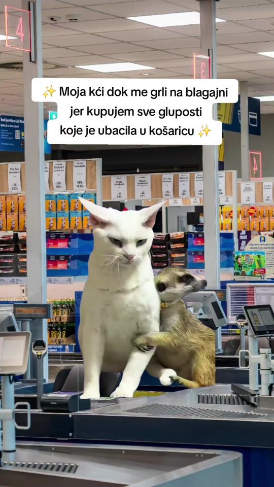 TikTok video thumbnail by lidl_hrvatska