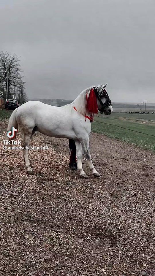 TikTok video thumbnail by florindenis95