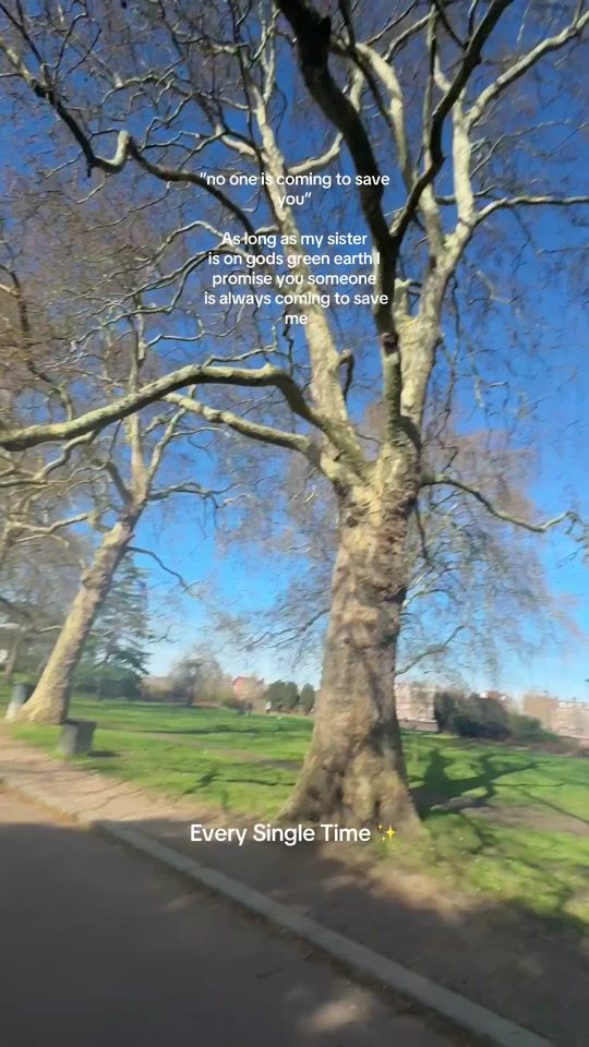 TikTok video thumbnail by rosiewood1