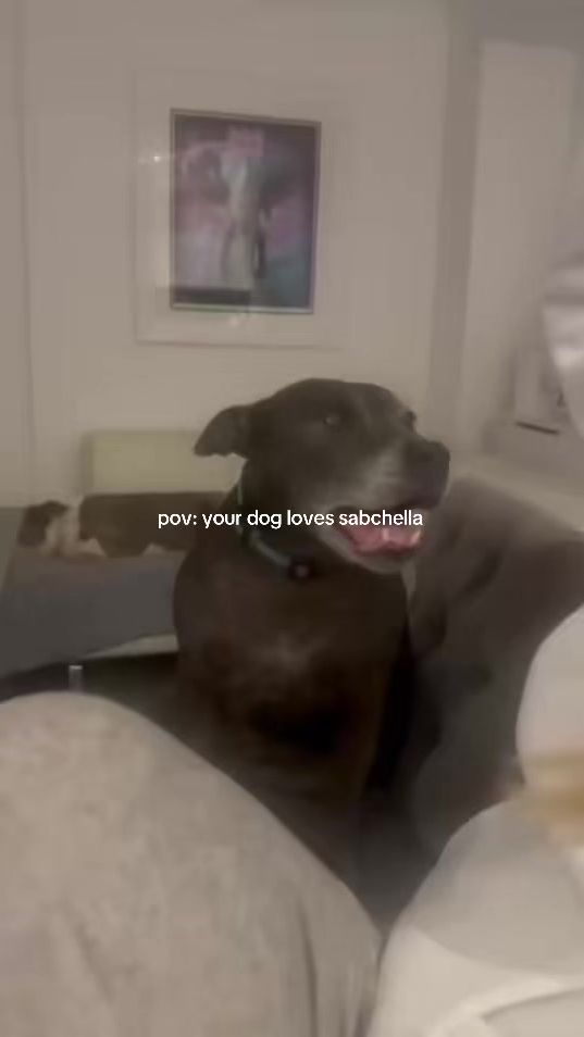 TikTok video thumbnail by whoisgi