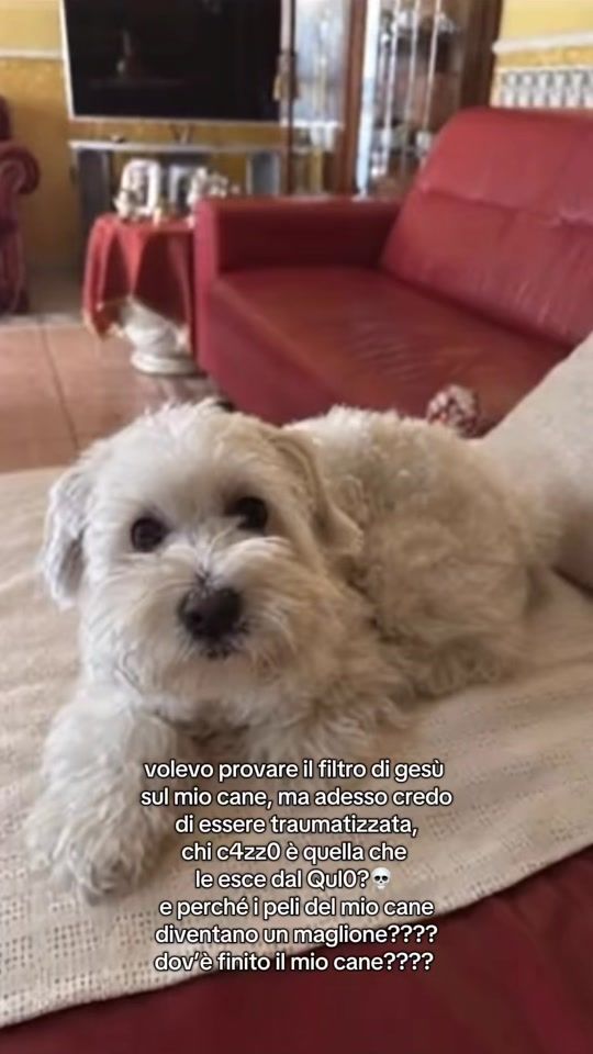 TikTok video thumbnail by staaattzitt