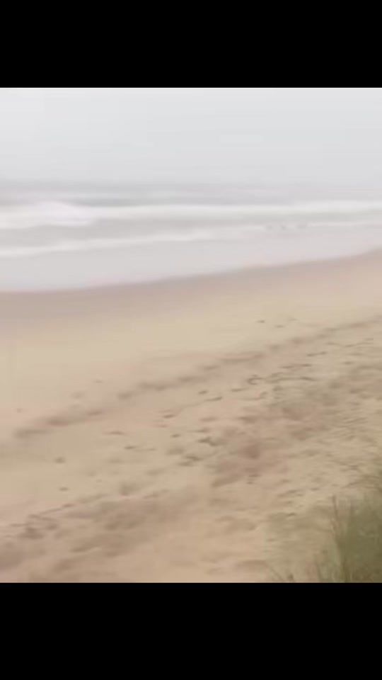 TikTok video thumbnail by laura_eq4