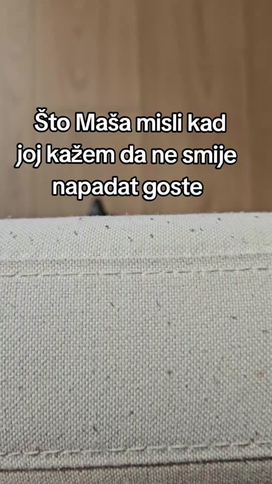 TikTok video thumbnail by masha_the_catlibrarian