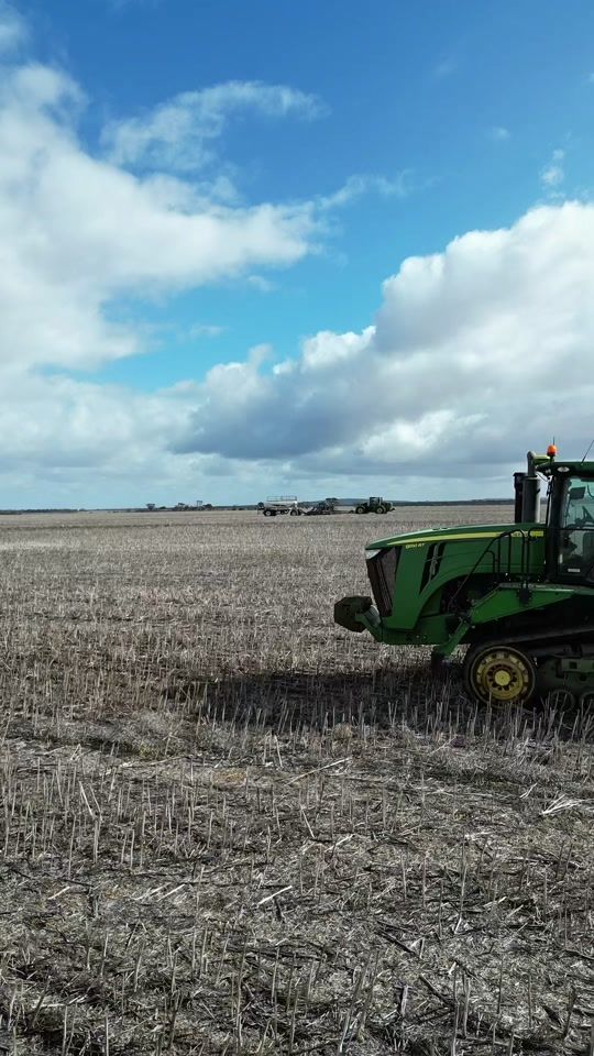 TikTok video thumbnail by gingeragri