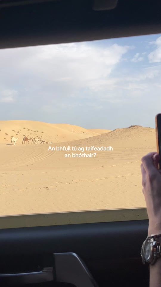 TikTok video thumbnail by seanohaodha1