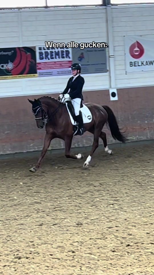 TikTok video thumbnail by paulaequestrian_