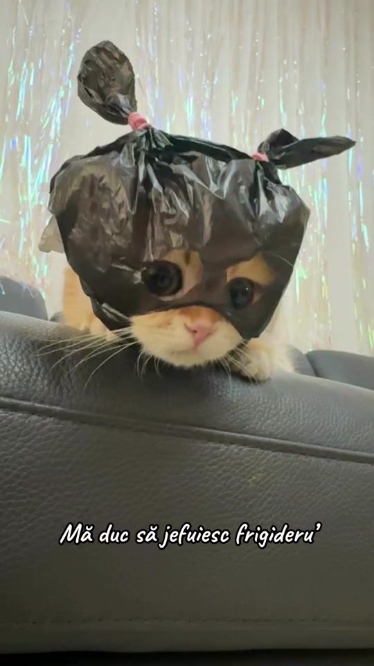 TikTok video thumbnail by pisica.zurlie4