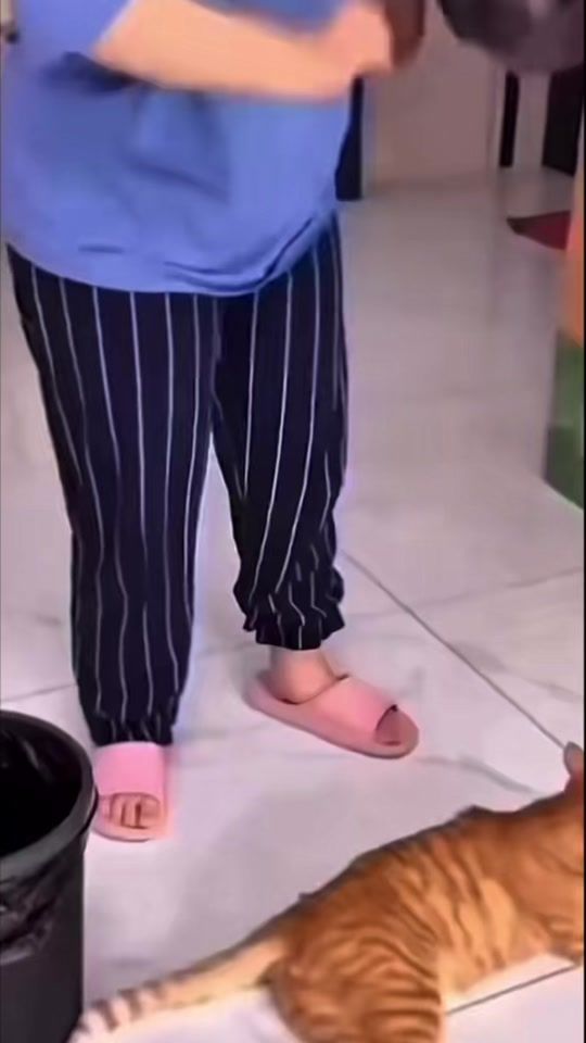 TikTok video thumbnail by zapre2008