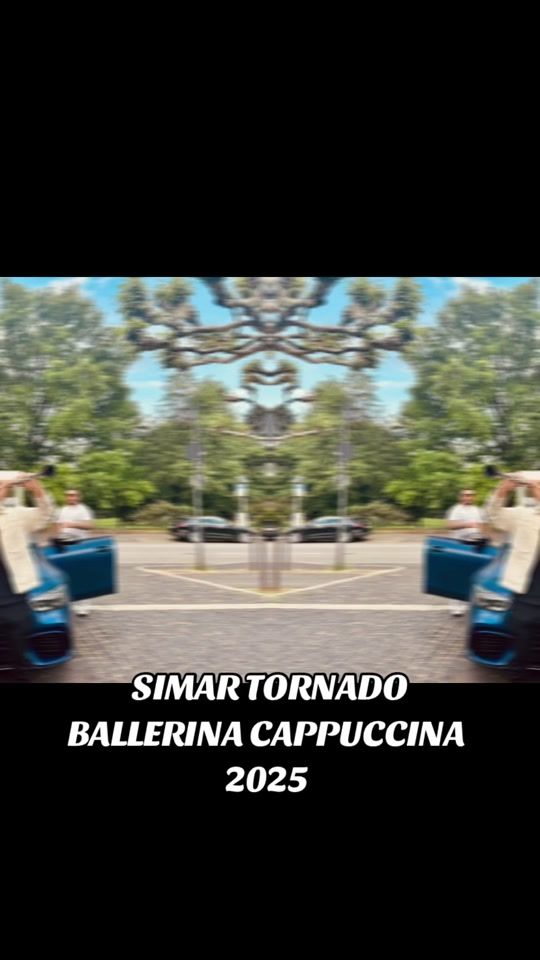 TikTok video thumbnail by simar_tornado