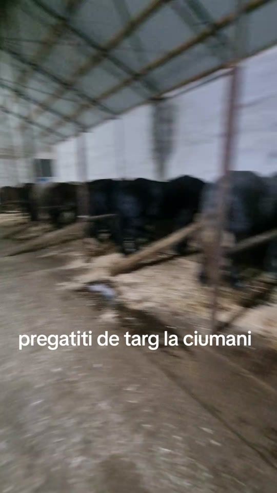 TikTok video thumbnail by andreitinca44