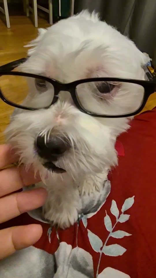 TikTok video thumbnail by ferkotiktok