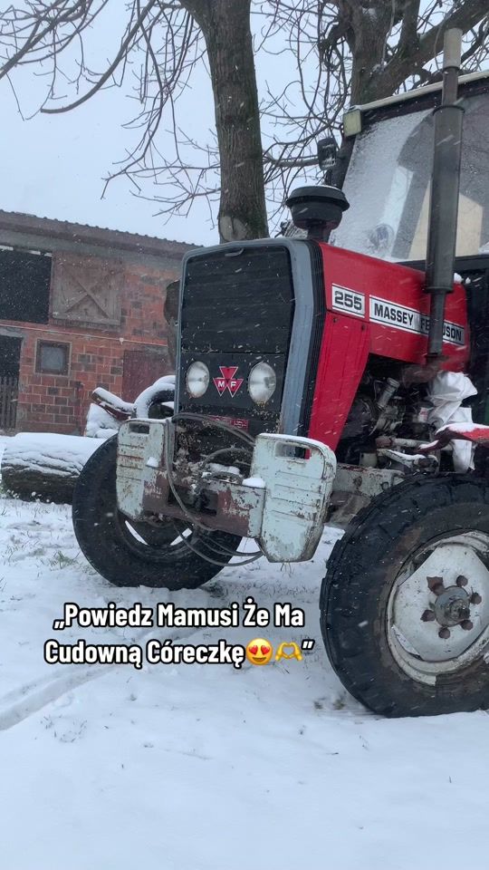 TikTok video thumbnail by rolnik.od.urodzenia