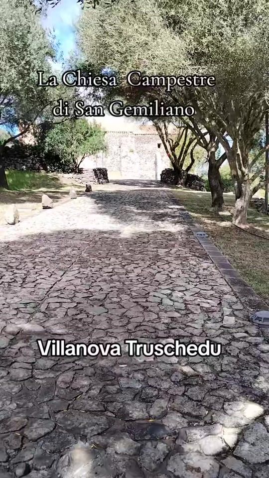 TikTok video thumbnail by sardemozioni