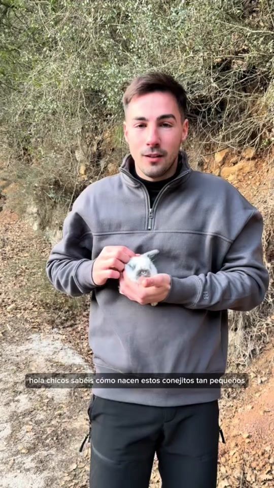 TikTok video thumbnail by joanzorrilla_animales