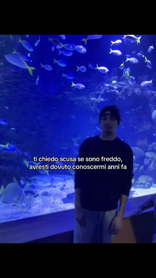 TikTok video thumbnail by _soavealessio_