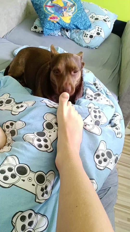 TikTok video thumbnail by tomasz.mehlich