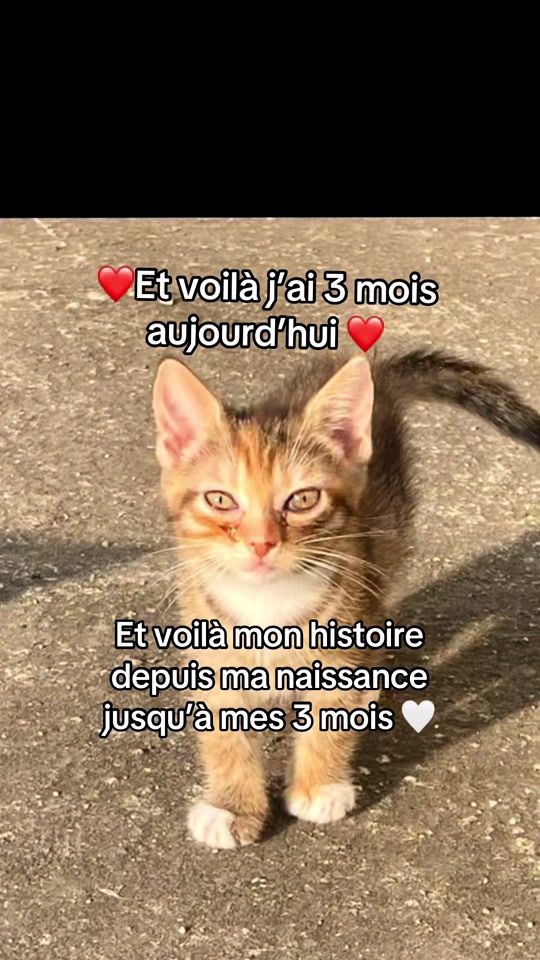 TikTok video thumbnail by tazzzdubai