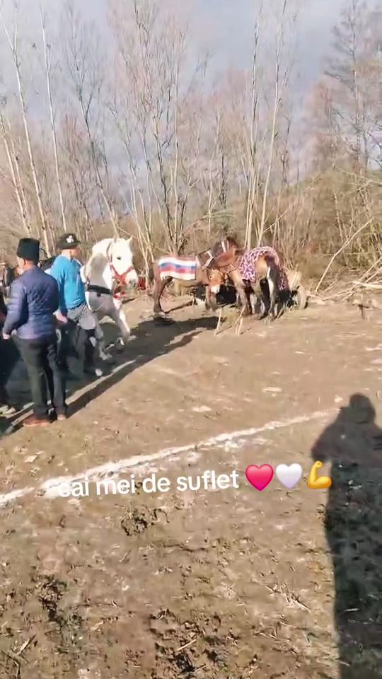 TikTok video thumbnail by cristijrj
