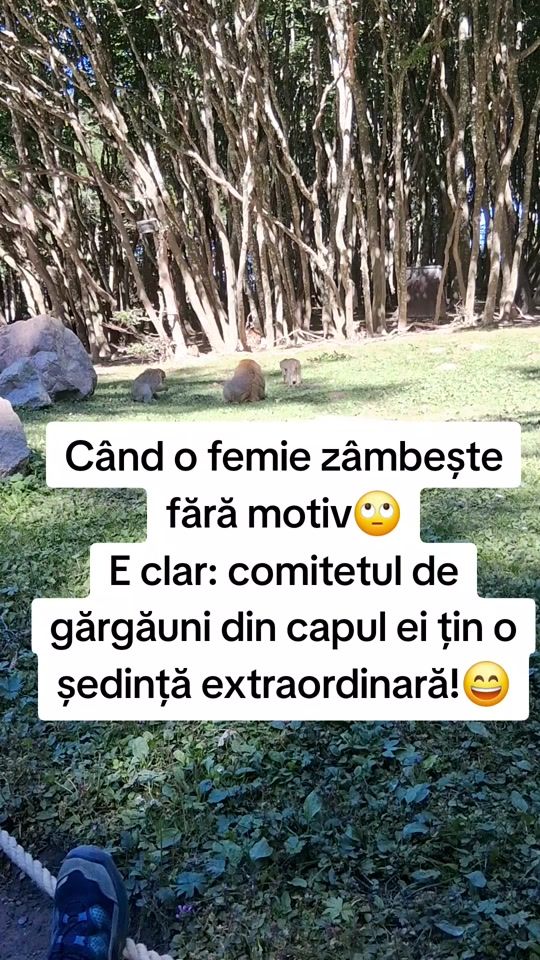 TikTok video thumbnail by ana.maria.2000