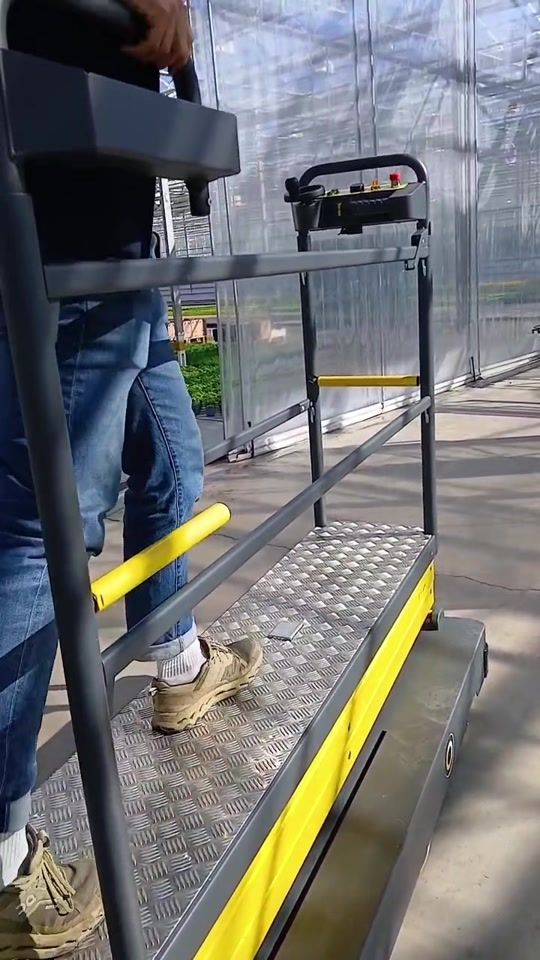 TikTok video thumbnail by gardenerc