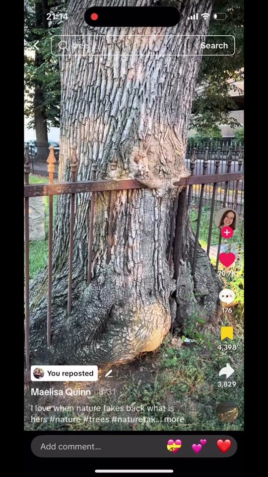 TikTok video thumbnail by soulpaiint