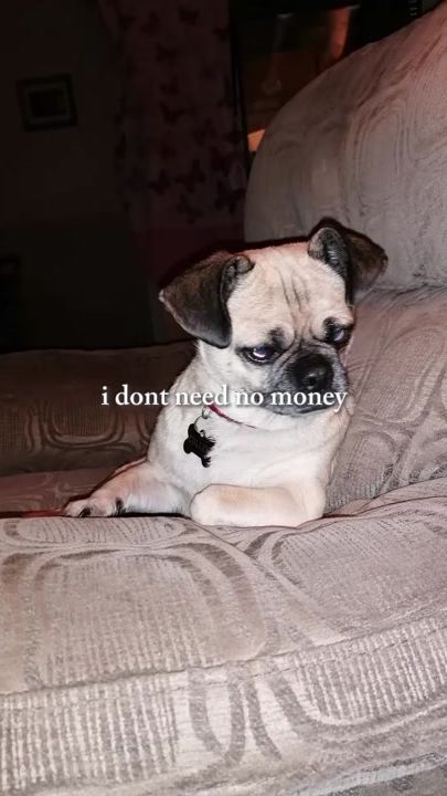 TikTok video thumbnail by josie_tilly