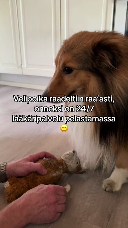 TikTok video thumbnail by alpojoki