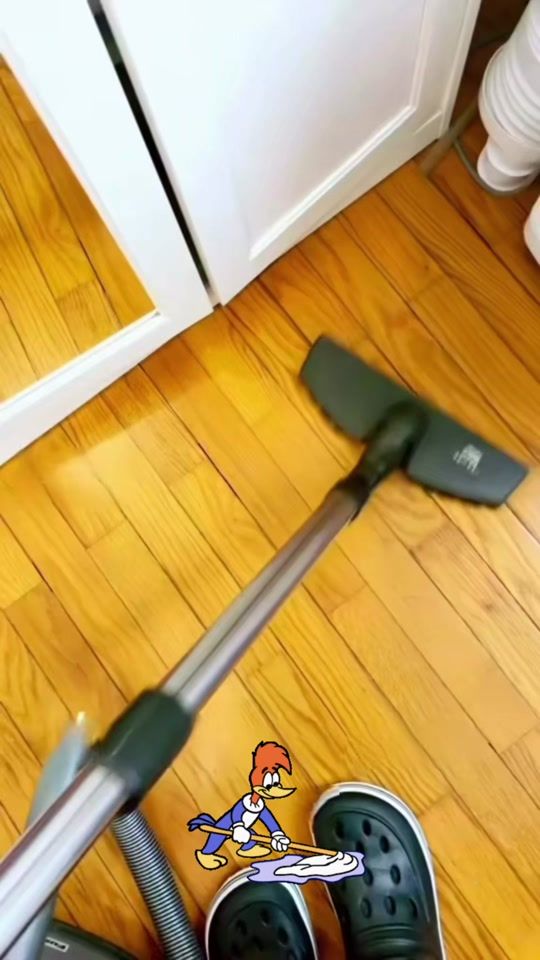 TikTok video thumbnail by alenirdesouza