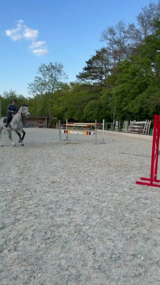 TikTok video thumbnail by adina.showjumping