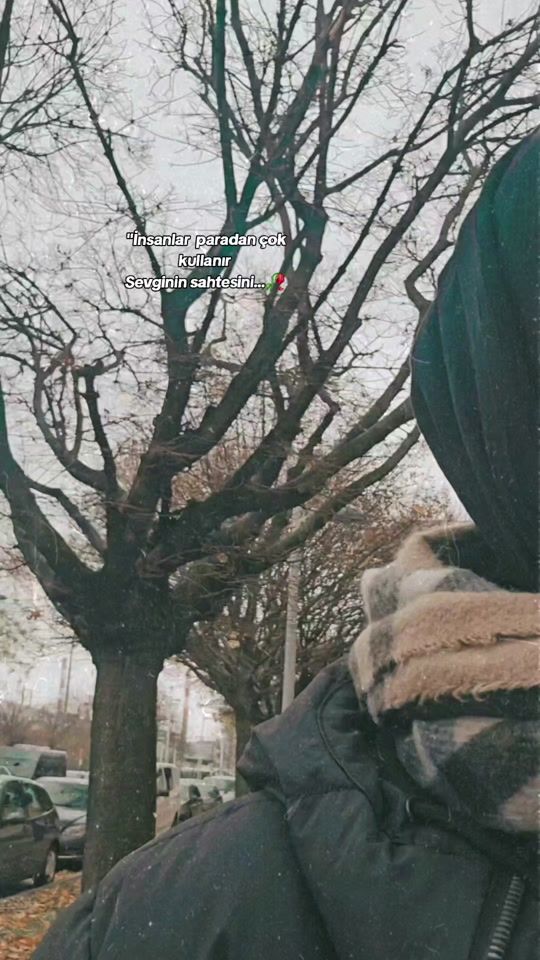 TikTok video thumbnail by seheryeli10.12