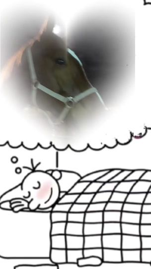 TikTok video thumbnail by clarissa.hecht