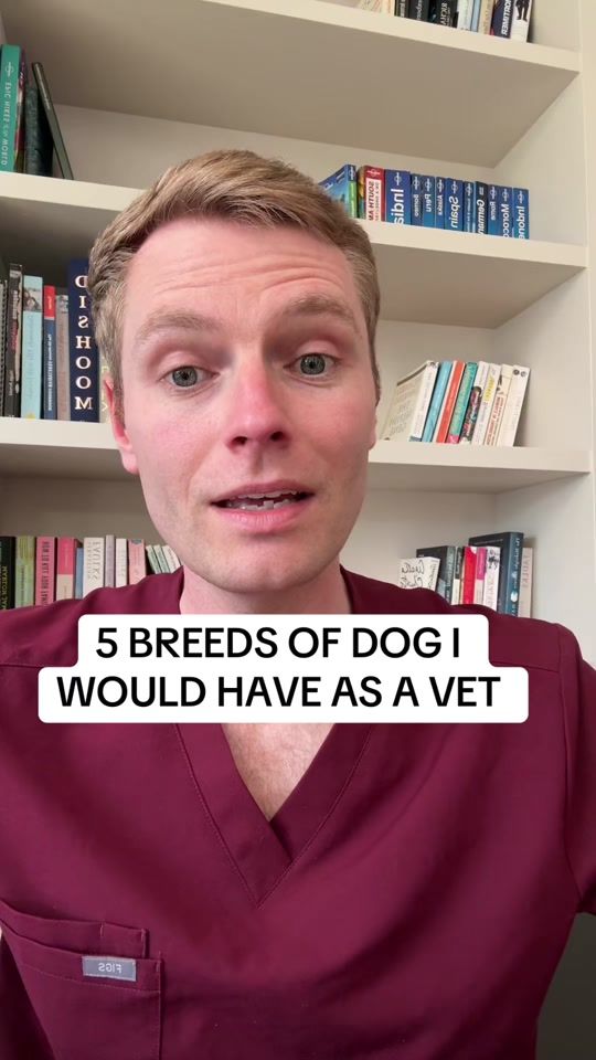 TikTok video thumbnail by ben.the.vet