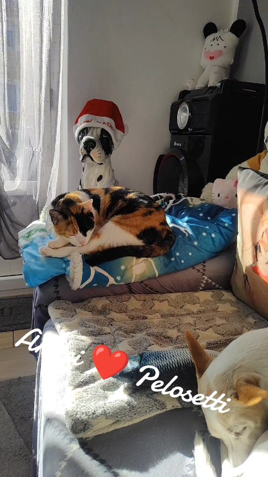 TikTok video thumbnail by alexpop595