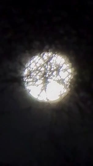 TikTok video thumbnail by baba.baloch6t