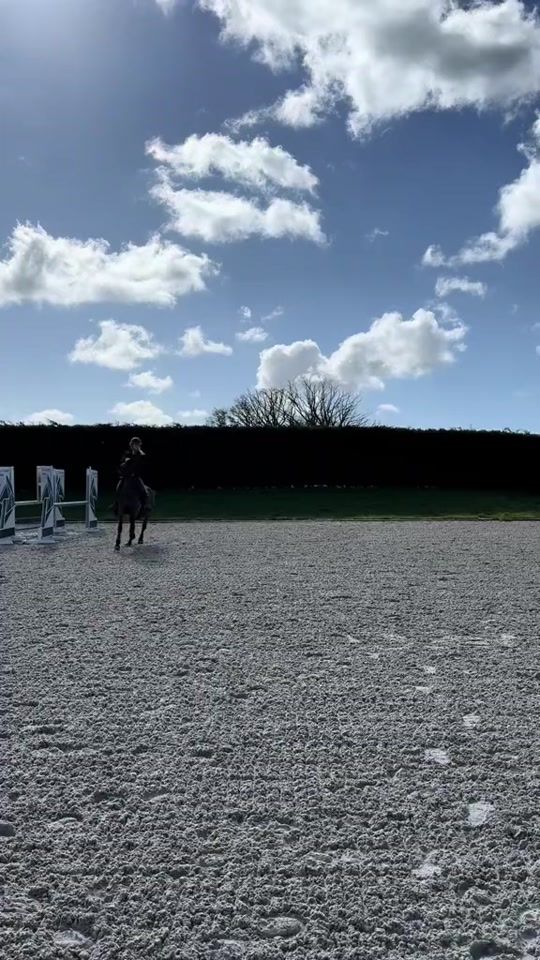 TikTok video thumbnail by emily_gulliver
