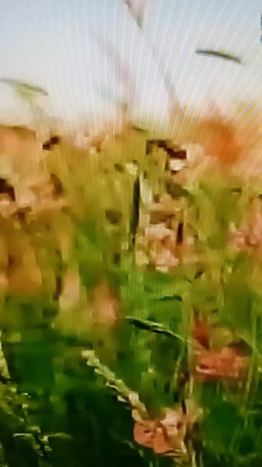 TikTok video thumbnail by sergei89795