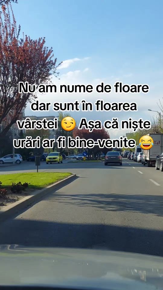 TikTok video thumbnail by ileanacristinacol5