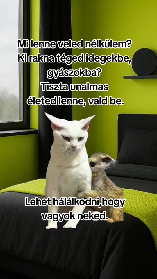 TikTok video thumbnail by blbmemek